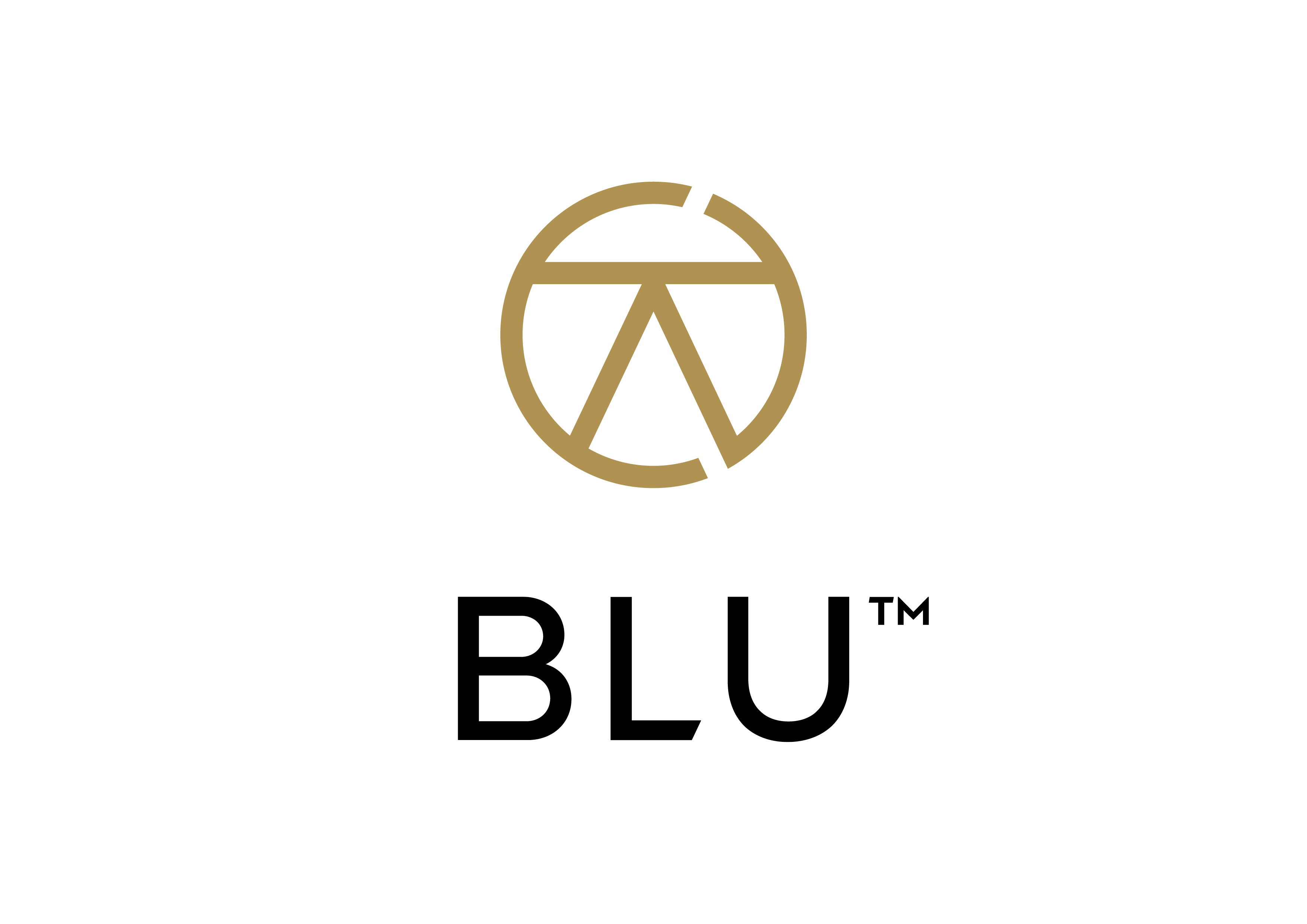 Blu Performance