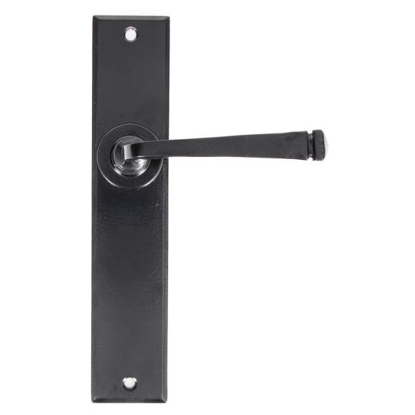From The Anvil Large Avon Door Handle on Backplate - Pair