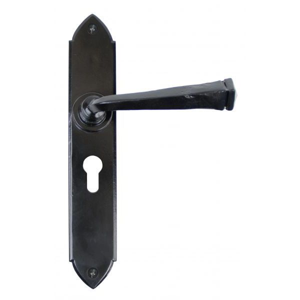 From The Anvil Gothic Door Handle on Backplate - Pair
