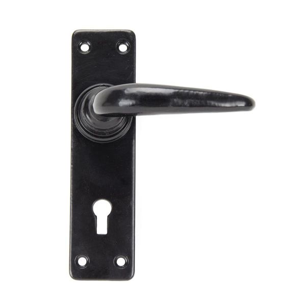 From The Anvil Smooth Door Handle on Backplate - Pair
