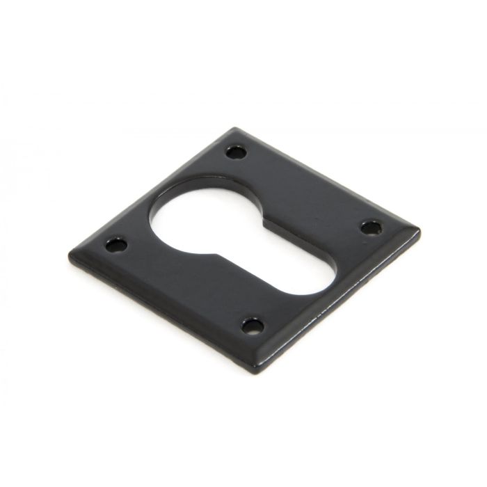 From The Anvil Euro Profile Avon Escutcheon