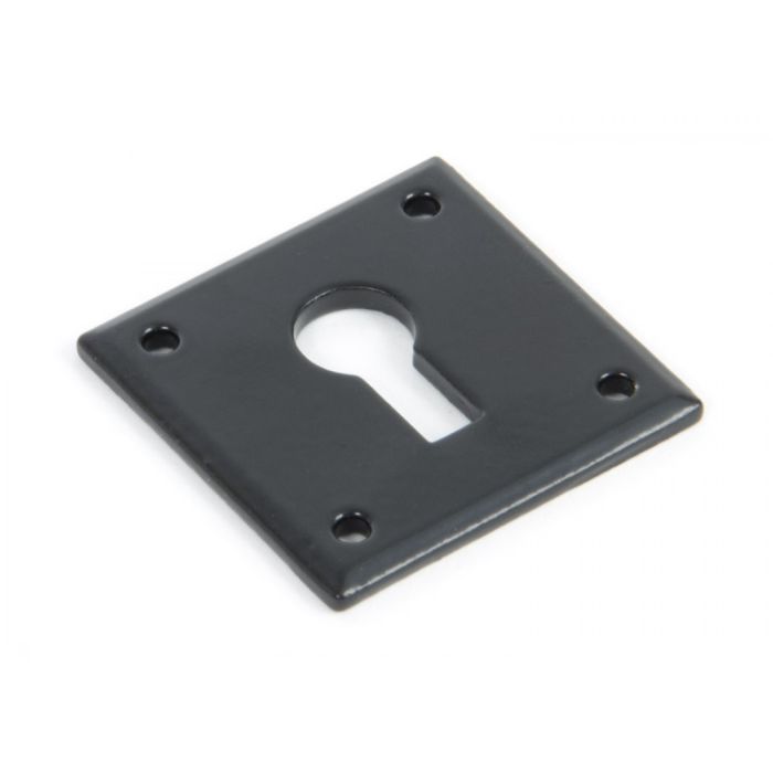 From The Anvil Standard Profile Avon Escutcheon