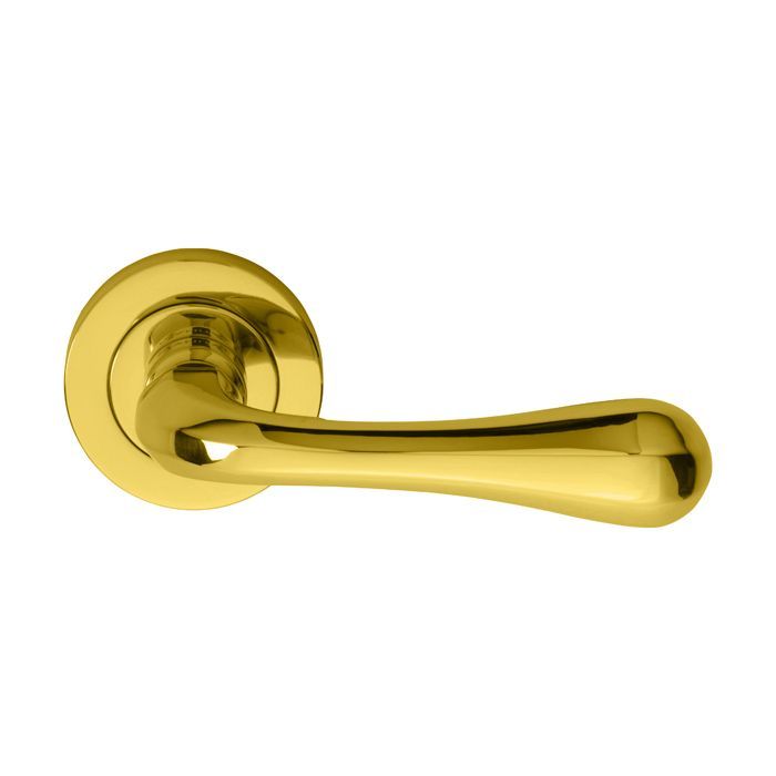 Carlisle Brass Manital Astro Door Handle on Rose - Pair