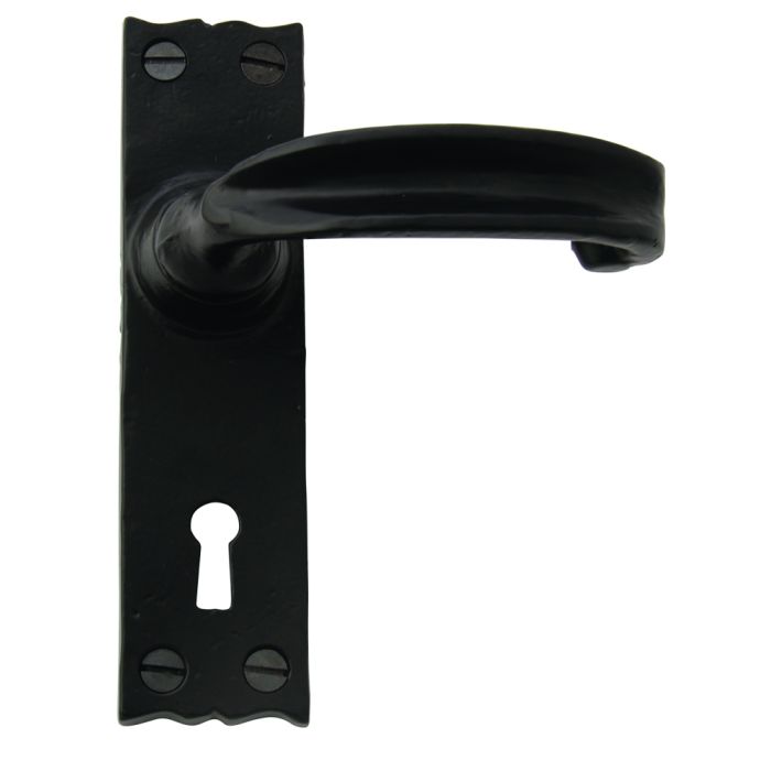 Cardea Door Handle on Backplate - Pair