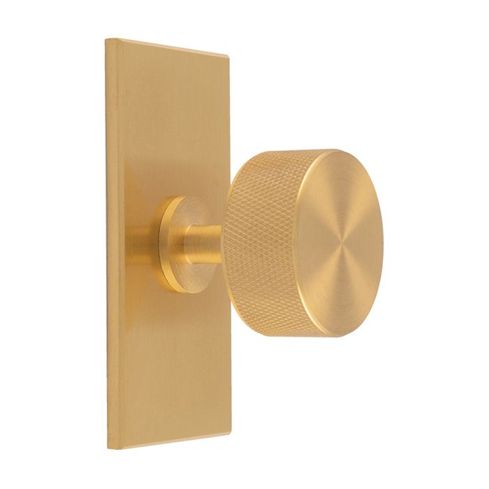 Carlisle Brass Knurled Radio Cupboard Knob on Rectangular Backplate