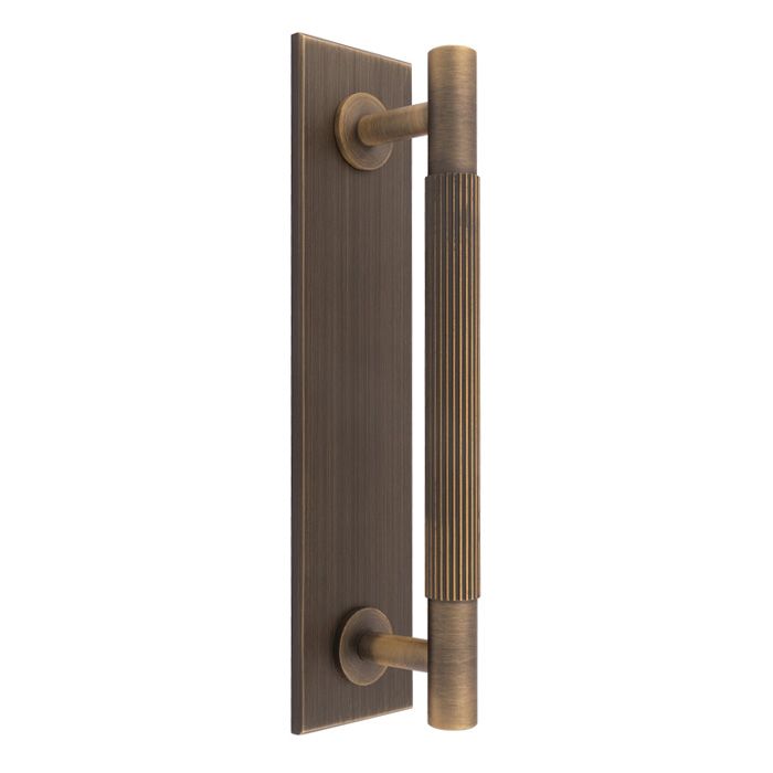Carlisle Brass Lines Cupboard Handle on Backplate