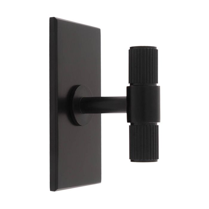 Carlisle Brass Lines T-bar Cupboard Knob on Rectangular Backplate
