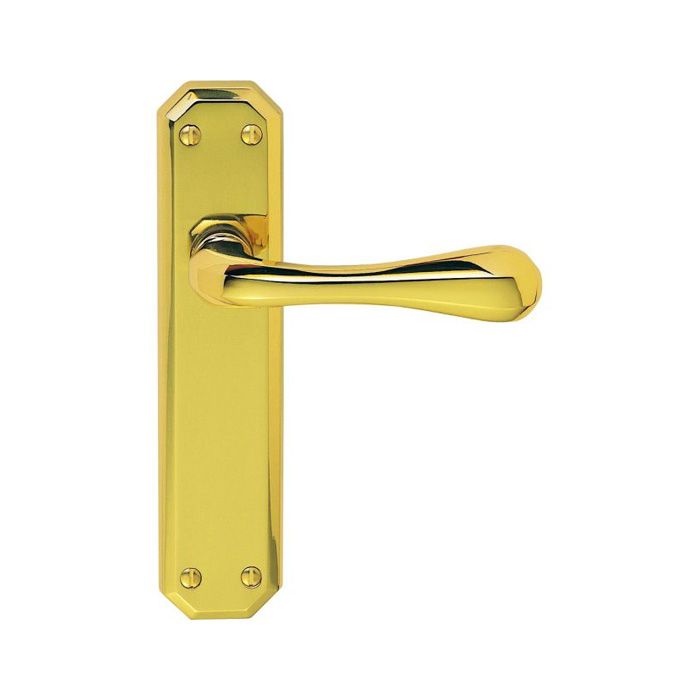 Carlisle Brass Eden Door Handle on Backplate - Pair