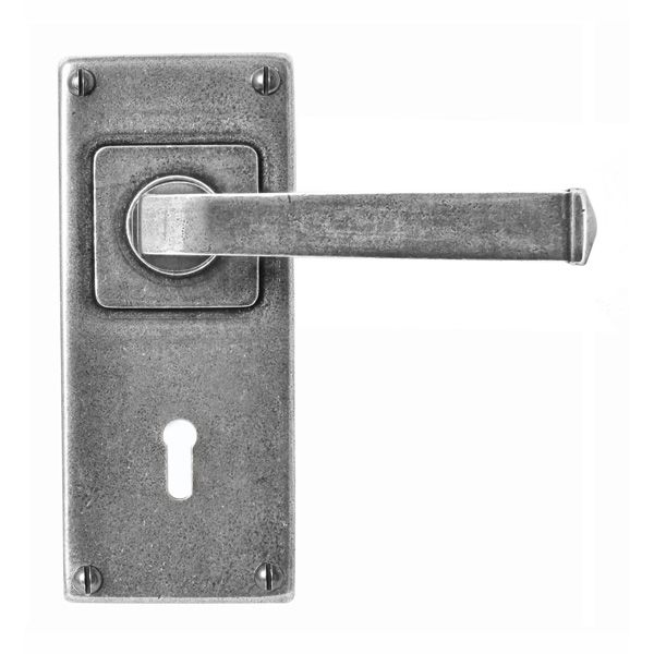 Finesse Allendale Door Handle on Jesmond Backplate - Pair