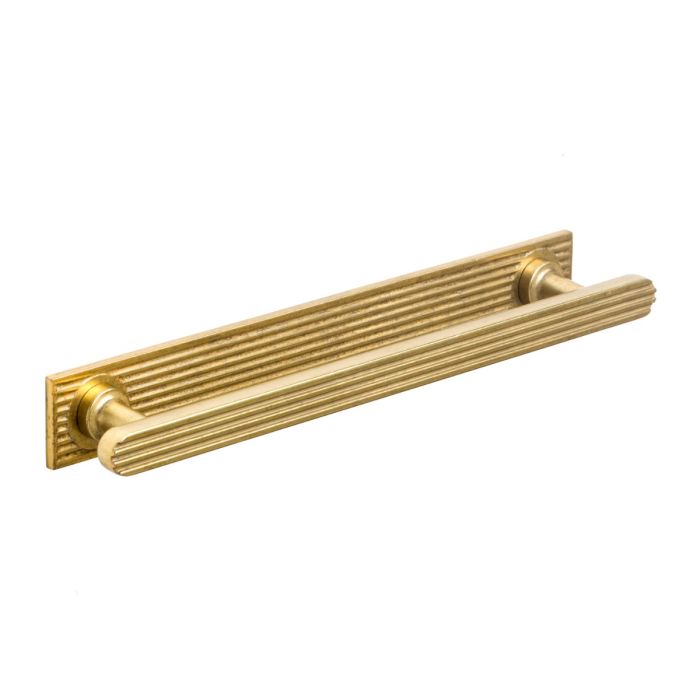 Second Nature Henley Cupboard Handle on Backplate