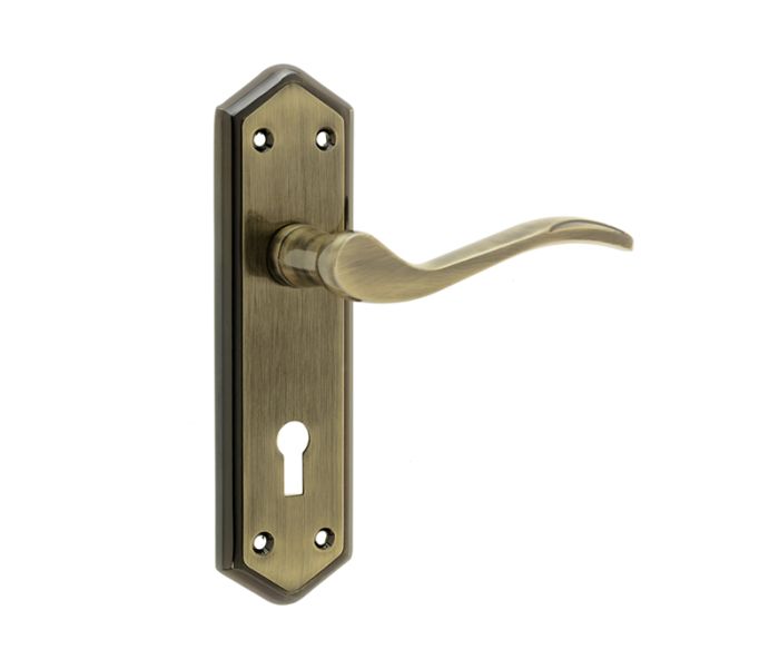 Frelan Jedo Paris Door Handle on Backplate - Pair
