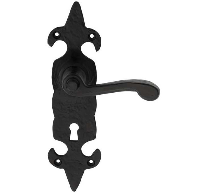 Ludlow Foundries Fleur De Lys Door Handle on Backplate - Pair
