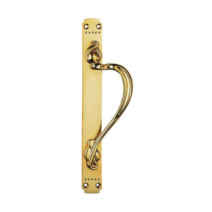 Carlisle Brass Laurin Door Pull Handle on Backplate