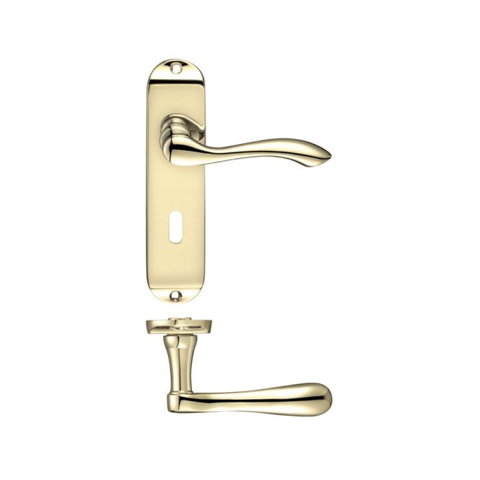 Zoo Hardware Project Arundel Door Handle on Backplate - Pair