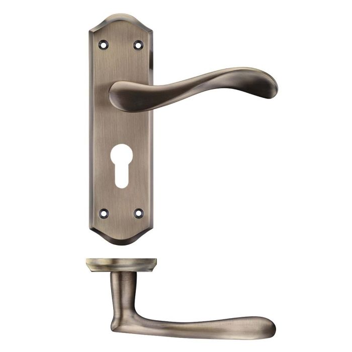 Zoo Hardware Project Asti Door Handle on Backplate - Pair