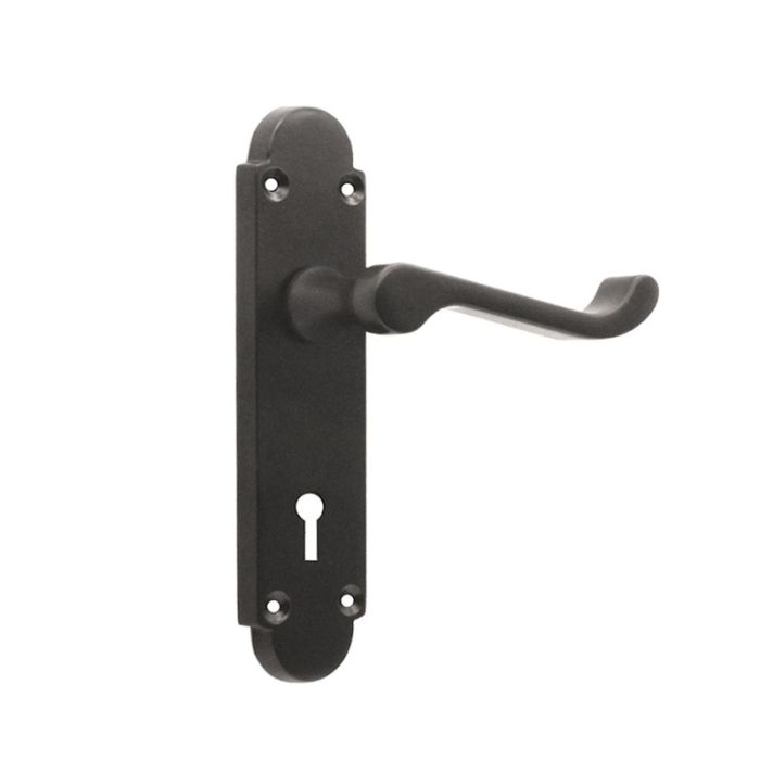 Spira Brass Oakley Door Handle on Backplate - Pair