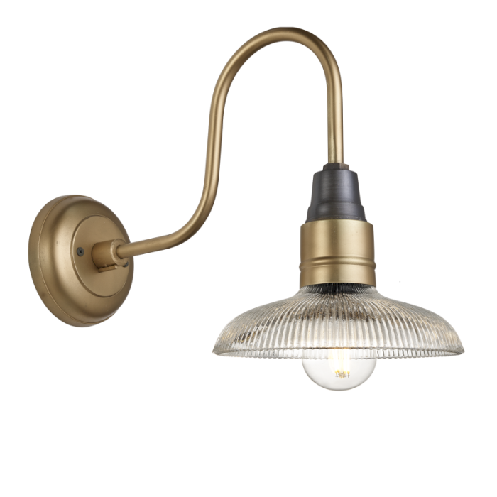Industville Swan Neck Glass Dome Wall Light