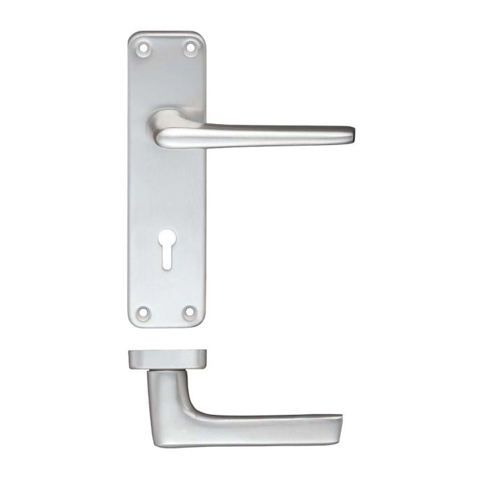 Zoo Hardware Contract Aluminium Door Handle on Backplate - Pair